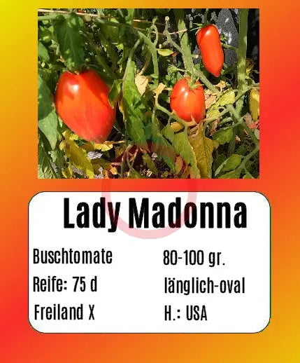 Lady Madonna DER TOMATENFLÜSTERER