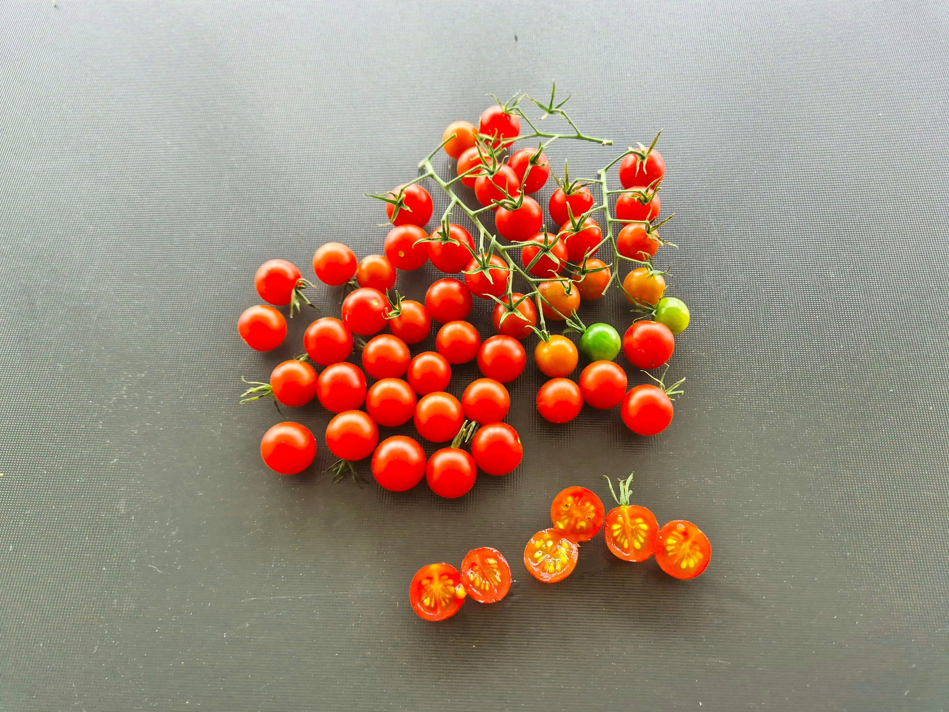 Ladybird DER TOMATENFLÜSTERER