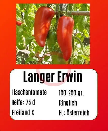 Langer Erwin DER TOMATENFLÜSTERER