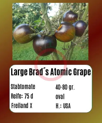 Large Brad´s Atomic Grape DER TOMATENFLÜSTERER