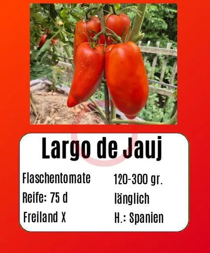 Largo de Jauj DER TOMATENFLÜSTERER