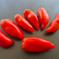 Largo de Jauj DER TOMATENFLÜSTERER