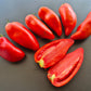 Largo de Jauj DER TOMATENFLÜSTERER