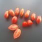 Laura MD DER TOMATENFLÜSTERER