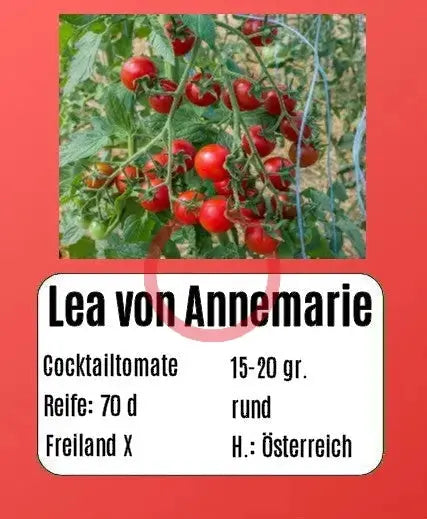 Lea von Annemarie DER TOMATENFLÜSTERER
