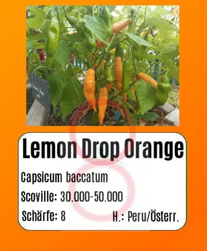 Lemon Drop Orange DER TOMATENFLÜSTERER