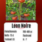 Leon Noire DER TOMATENFLÜSTERER