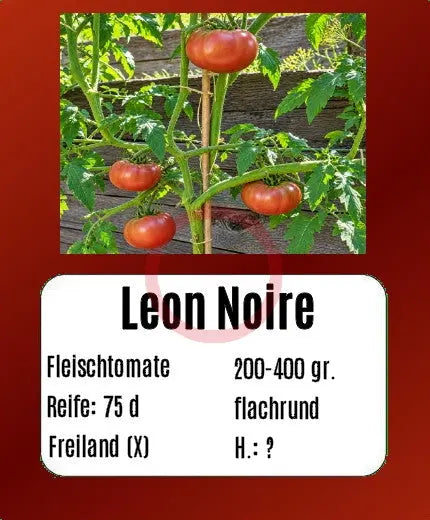 Leon Noire DER TOMATENFLÜSTERER