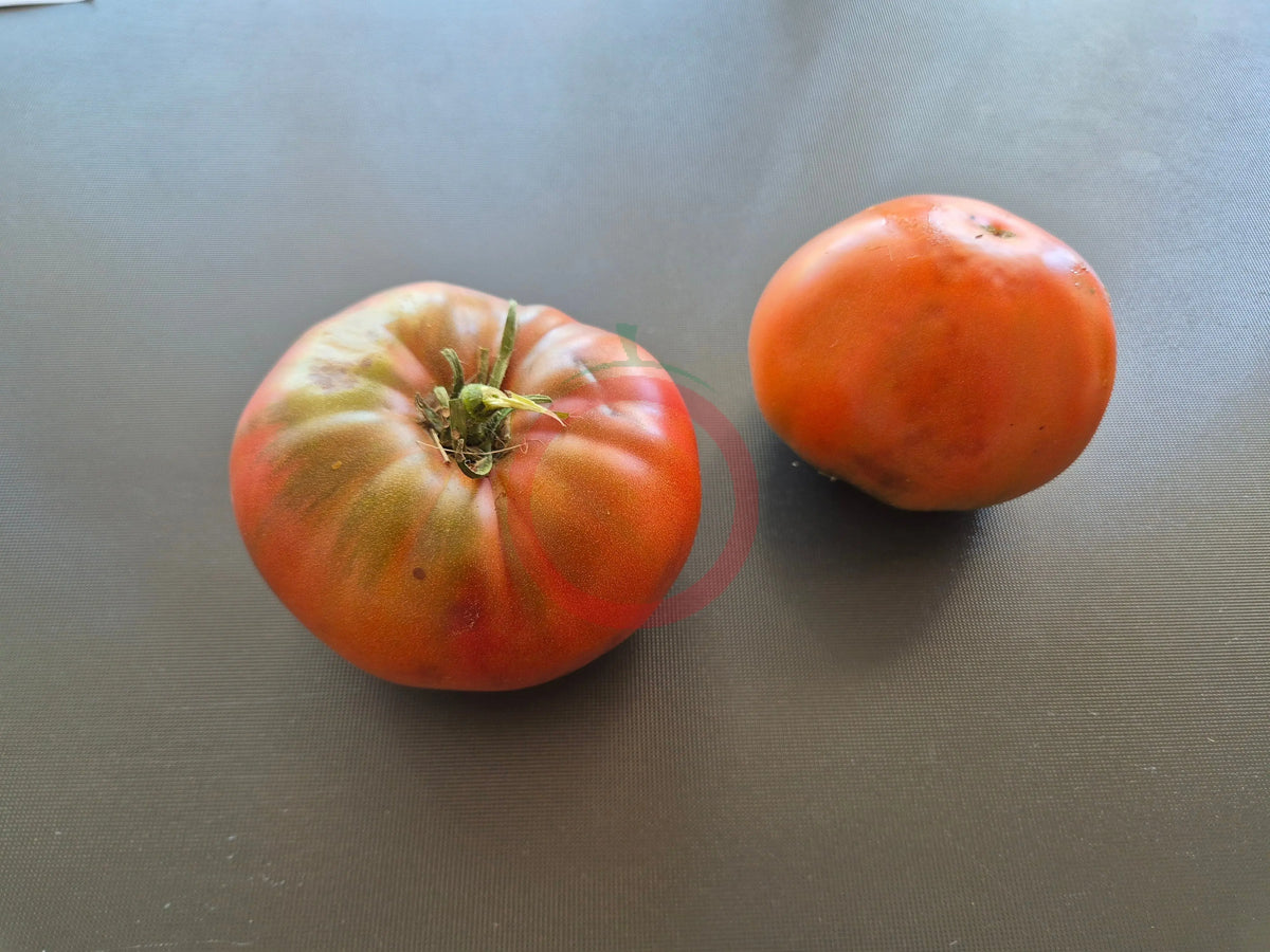 Leon Noire DER TOMATENFLÜSTERER