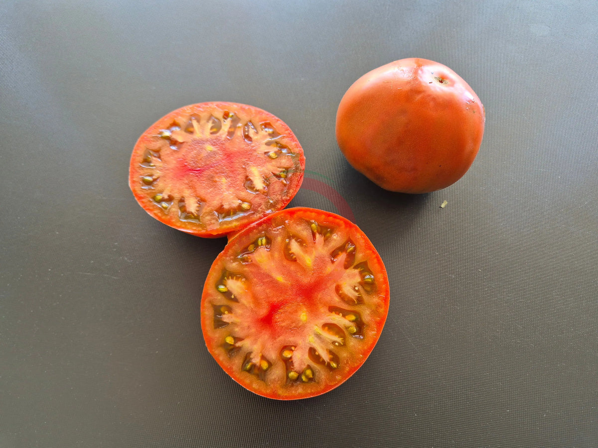 Leon Noire DER TOMATENFLÜSTERER