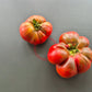 Leon Noire DER TOMATENFLÜSTERER