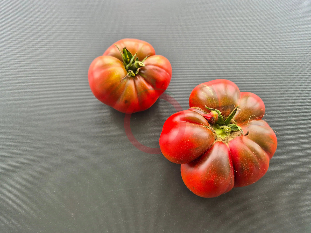 Leon Noire DER TOMATENFLÜSTERER