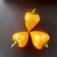 Lesya Orange DER TOMATENFLÜSTERER