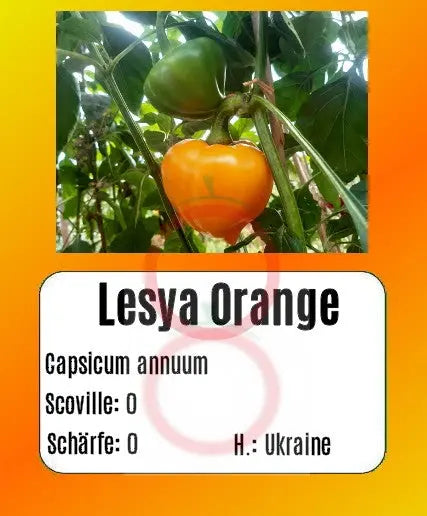 Lesya Orange DER TOMATENFLÜSTERER