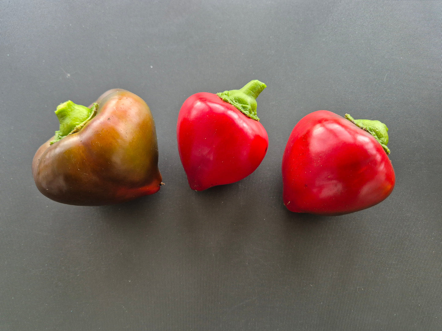 Lesya violett DER TOMATENFLÜSTERER