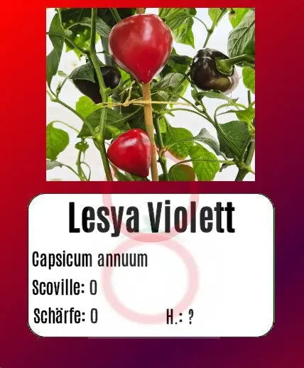 Lesya violett DER TOMATENFLÜSTERER