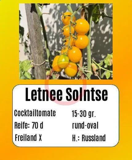 Letnee Solntse DER TOMATENFLÜSTERER