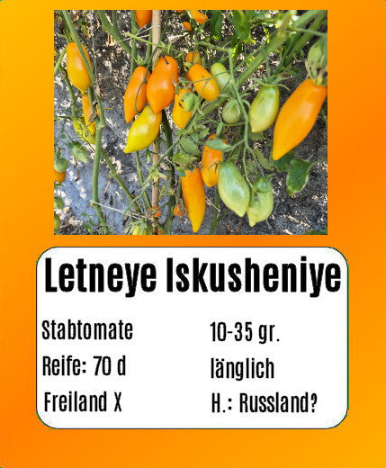 Letneye Iskusheniye DER TOMATENFLÜSTERER