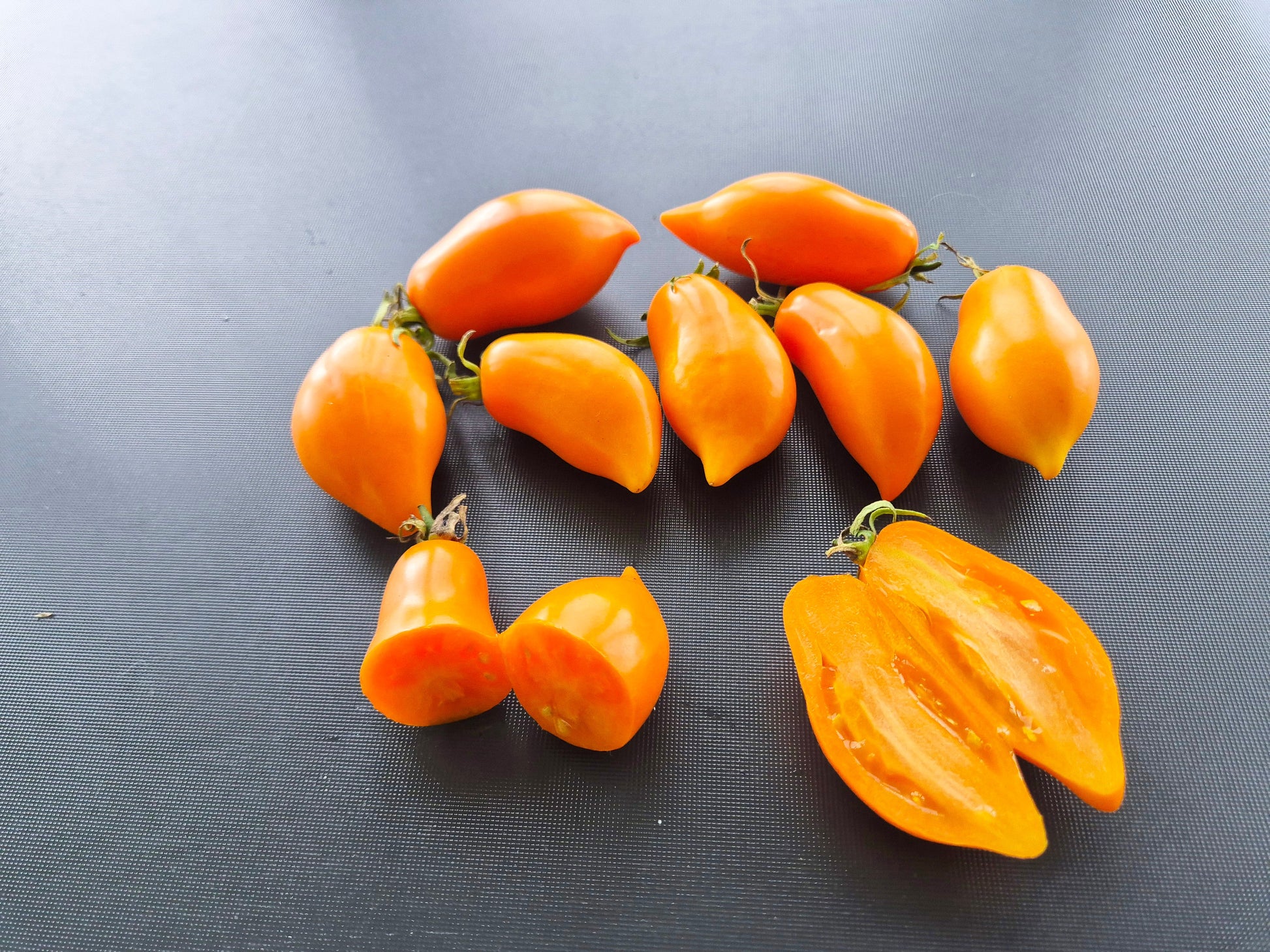 Letneye Iskusheniye DER TOMATENFLÜSTERER