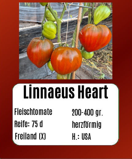 Linnaeus Heart DER TOMATENFLÜSTERER