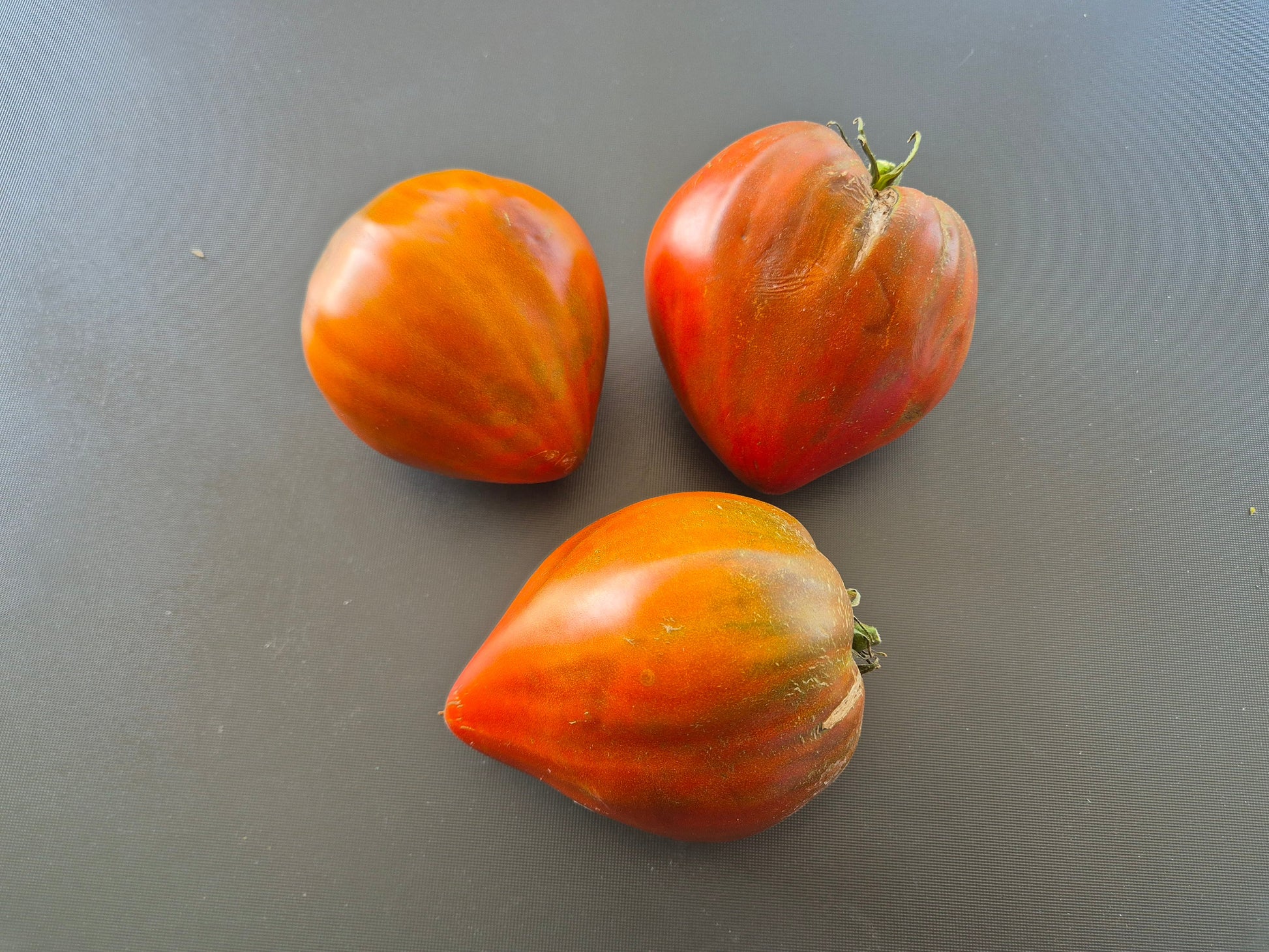 Linnaeus Heart DER TOMATENFLÜSTERER