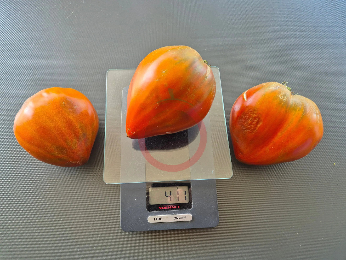 Linnaeus Heart DER TOMATENFLÜSTERER