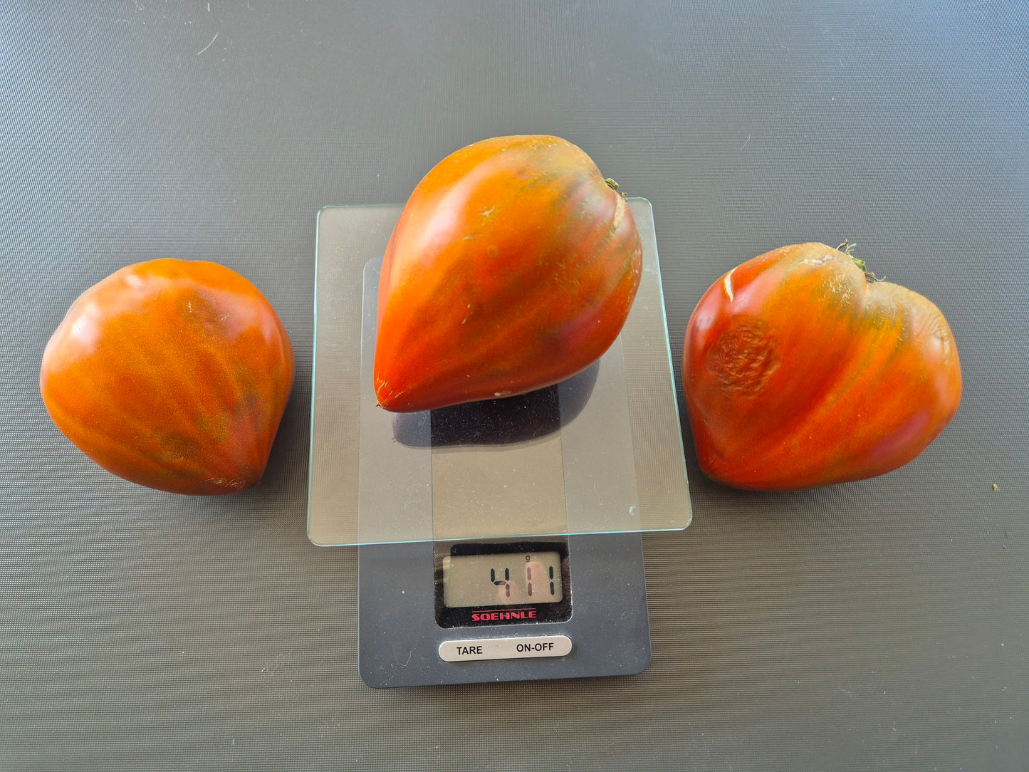 Linnaeus Heart