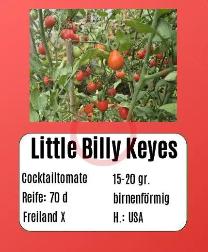 Little Billy Keyes DER TOMATENFLÜSTERER