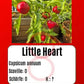 Little Heart DER TOMATENFLÜSTERER