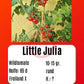 Little Julia DER TOMATENFLÜSTERER