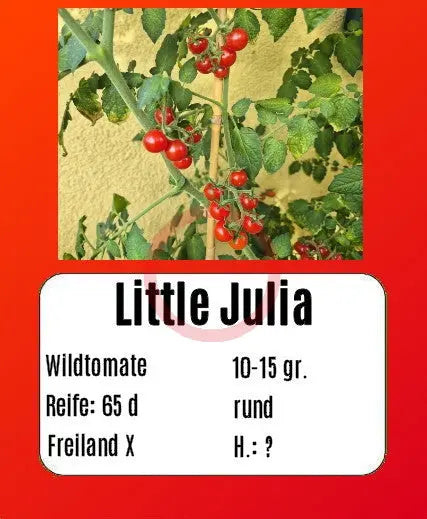 Little Julia DER TOMATENFLÜSTERER
