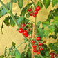 Little Julia DER TOMATENFLÜSTERER