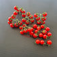 Little Julia DER TOMATENFLÜSTERER