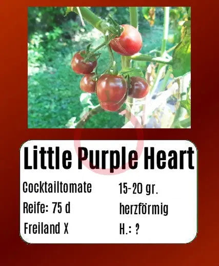 Little Purple Heart DER TOMATENFLÜSTERER