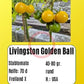 Livingston Gold Ball DER TOMATENFLÜSTERER