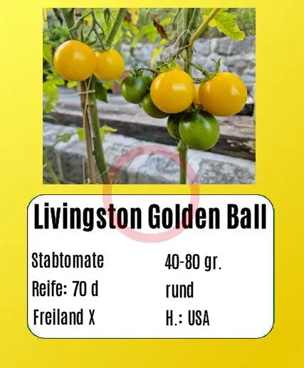 Livingston Gold Ball DER TOMATENFLÜSTERER