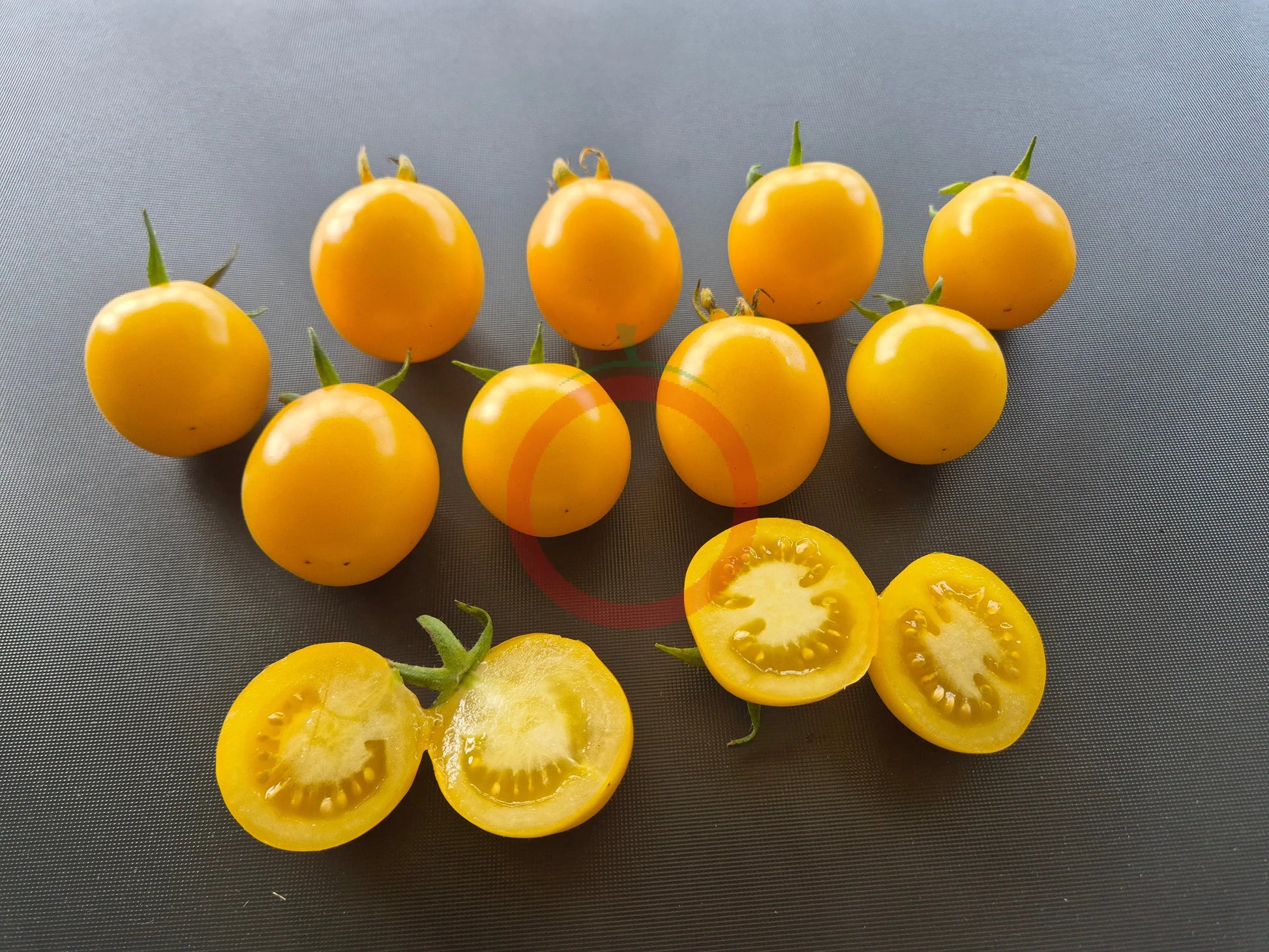 Livingston Gold Ball DER TOMATENFLÜSTERER