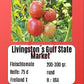 Livingston’s Gulf State Market DER TOMATENFLÜSTERER