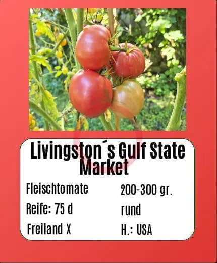 Livingston’s Gulf State Market DER TOMATENFLÜSTERER