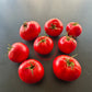 Livingston’s Gulf State Market DER TOMATENFLÜSTERER