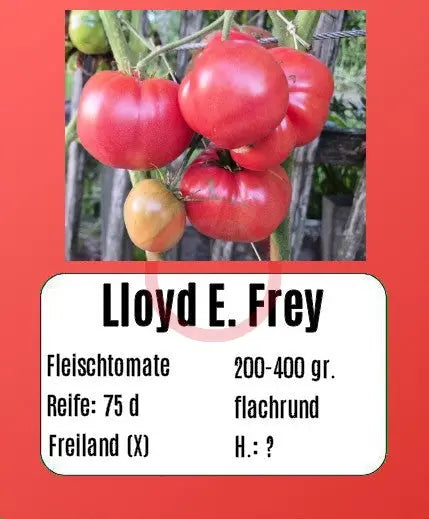 Lloyd E. Frey DER TOMATENFLÜSTERER