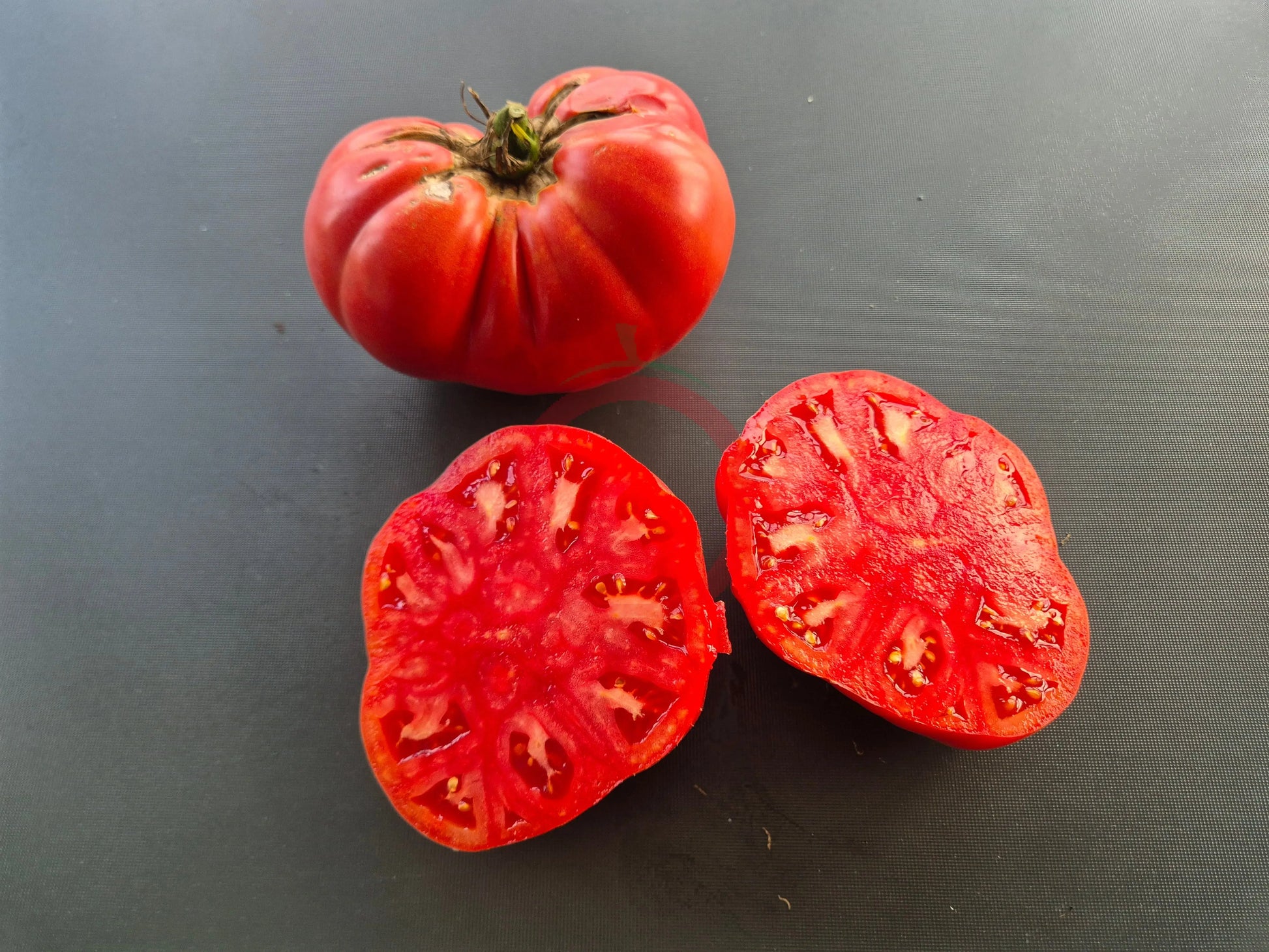 Lloyd E. Frey DER TOMATENFLÜSTERER