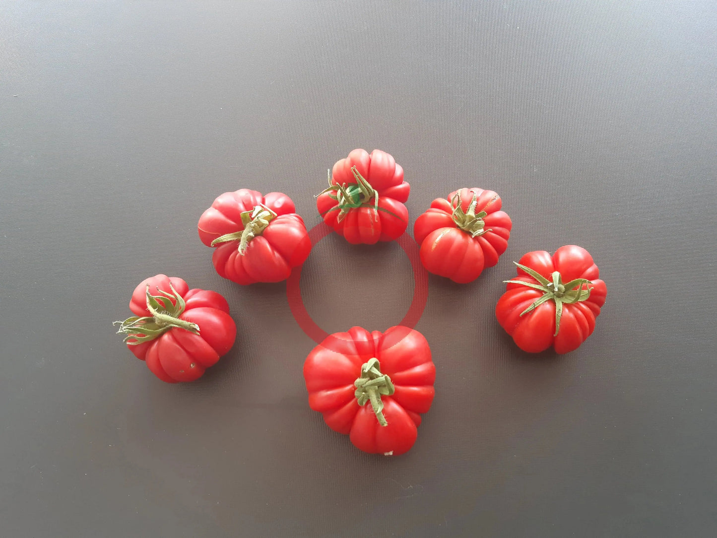 Loka DER TOMATENFLÜSTERER