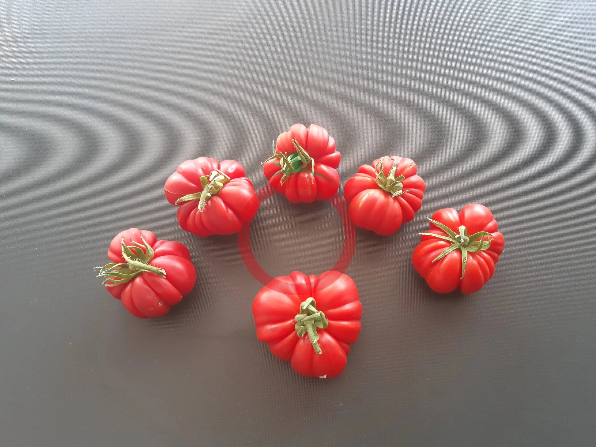 Loka DER TOMATENFLÜSTERER