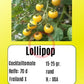 Lollipop DER TOMATENFLÜSTERER