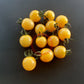 Lollipop DER TOMATENFLÜSTERER