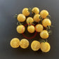 Lollipop DER TOMATENFLÜSTERER