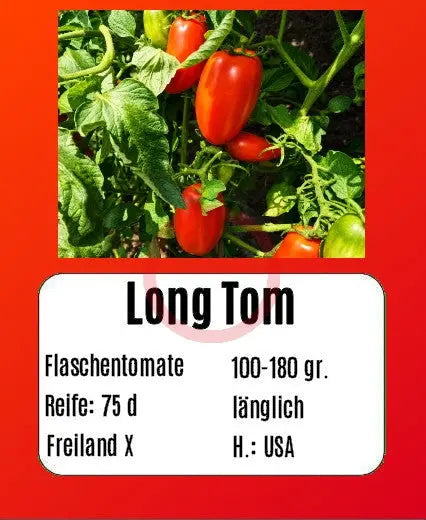 Long Tom DER TOMATENFLÜSTERER
