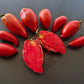Long Tom DER TOMATENFLÜSTERER