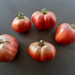 Longhorn DER TOMATENFLÜSTERER
